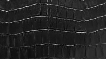 Croc_1440x810_85f97019 384b 43cc 832f 3884d68e5191