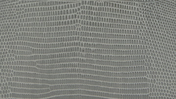 Rectangle_550