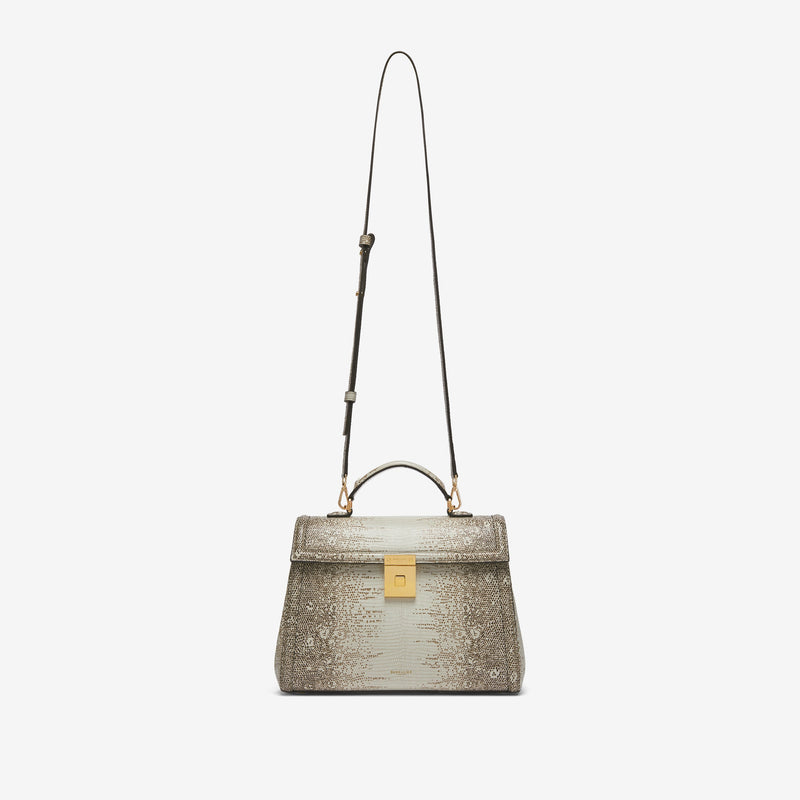 The Midi Paris